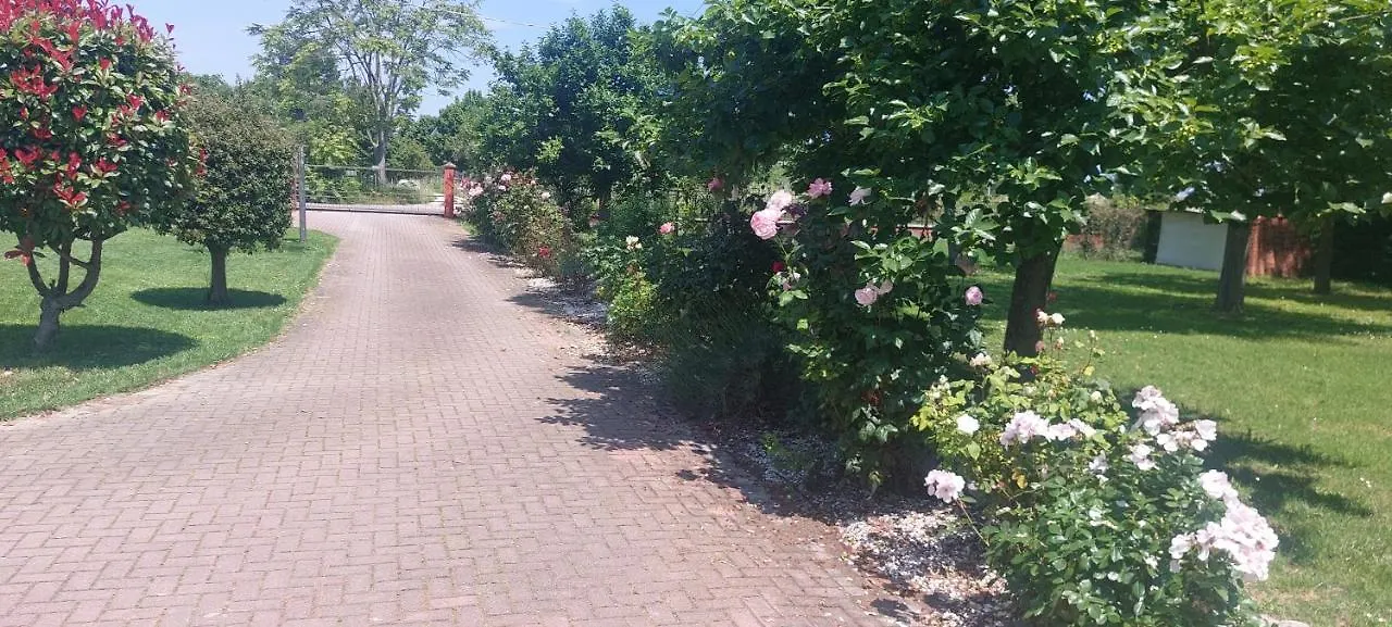 Appartamento In Campagna San Vito